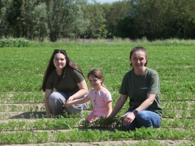 OPG Drožđek širi proizvodnju industrijske rajčice