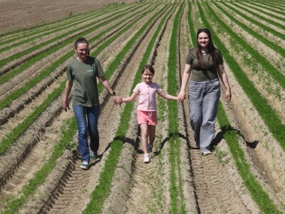 OPG Drožđek širi proizvodnju industrijske rajčice