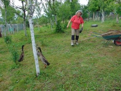 OPG Dubravka Vidmar