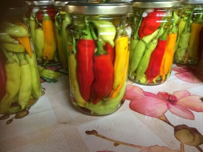 OPG DUK SLIKE ZA TEKST