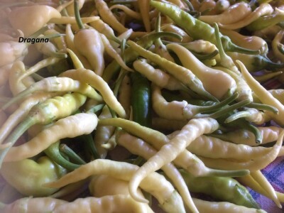 OPG DUK SLIKE ZA TEKST