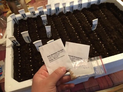 OPG DUK SLIKE ZA TEKST