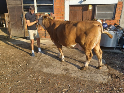 OPG Duško Rajaković iz Rovišća OPG Duško Rajaković iz Rovišća