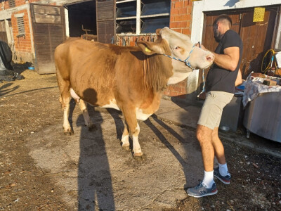 OPG Duško Rajaković iz Rovišća OPG Duško Rajaković iz Rovišća