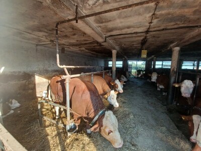 OPG Duško Rajaković iz Rovišća OPG Duško Rajaković iz Rovišća