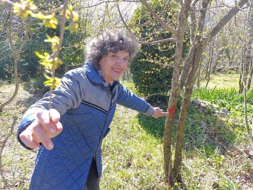 Broj jedan