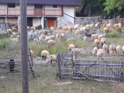 OPG Emil Baltić