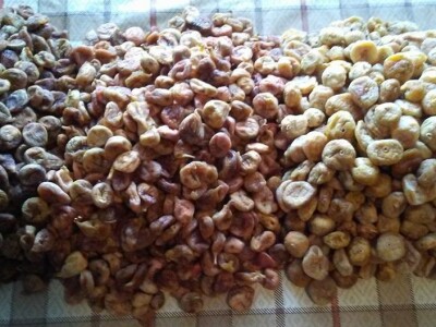 OPG Eugen Novaković