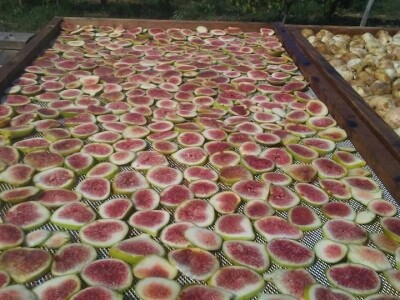 OPG EUGEN NOVAKOVIĆ: Proizvodi i unosno prodaje čips i kobasice od smokava!