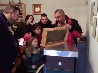 OPG Fajdetić - pčelarstvo OPG Fajdetić - pčelarstvo