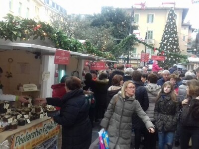 OPG Fajdetić - pčelarstvo OPG Fajdetić - pčelarstvo