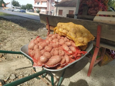 OPG Fišer