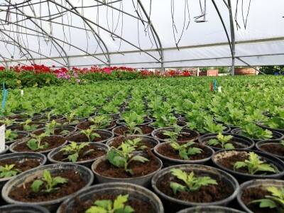 OPG Flajšman ulaže u razvoj proizvodnje