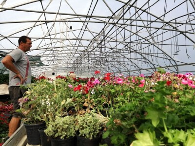 OPG Flajšman ulaže u razvoj proizvodnje