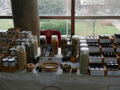 OPG Francetić OPG Francetić