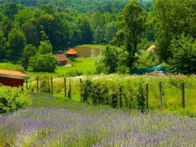 OPG Francetić OPG Francetić