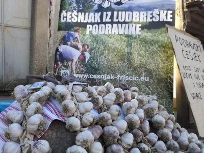 OPG Friščić Ivan