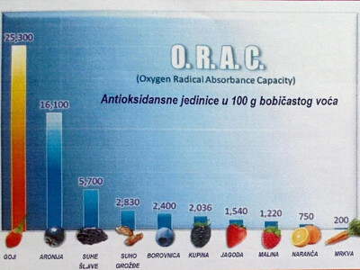 Statistika koja pokazuje veliku preporučljivost za zdravlje goji bobica