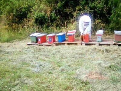 OPG Furlan OPG Furlan