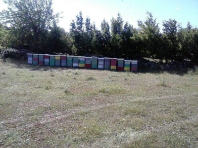 OPG Furlan OPG Furlan