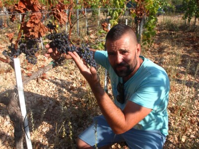 OPG Galjin dvor Kruševo