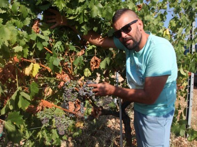 OPG Galjin dvor Kruševo