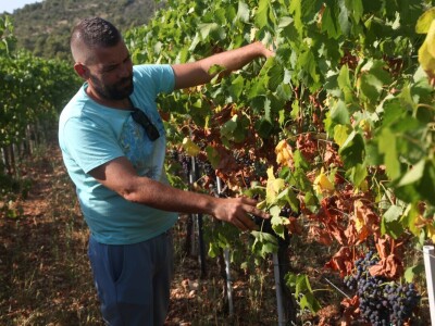 OPG Galjin dvor Kruševo