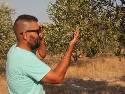 OPG Galjin dvor Kruševo