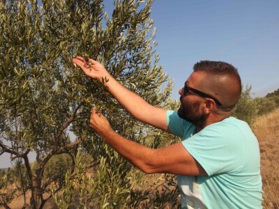 OPG Galjin dvor Kruševo