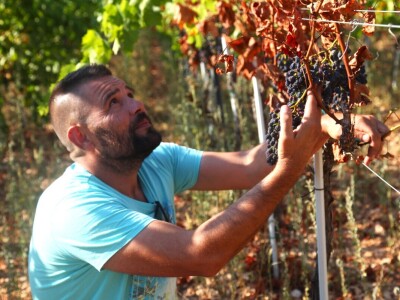 OPG Galjin dvor Kruševo