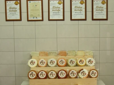 opg gašić