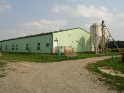 OPG Glavašić (Bizovac)