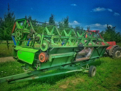 OPG Glavašić (Bizovac)