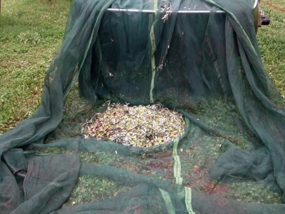 OPG Gojtan, šampion Noćnjaka