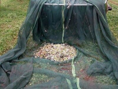 OPG Gojtan, šampion Noćnjaka