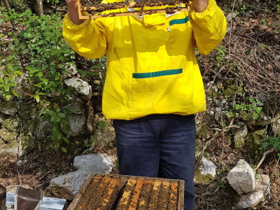 OPG Goran Milošević