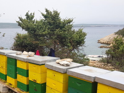 OPG Goran Milošević