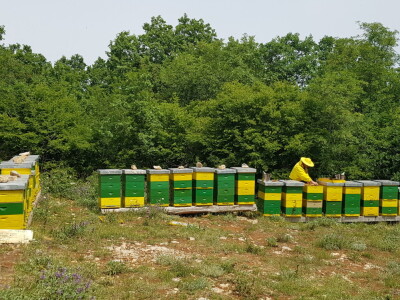 OPG Goran Milošević