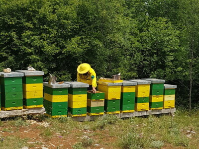 OPG Goran Milošević