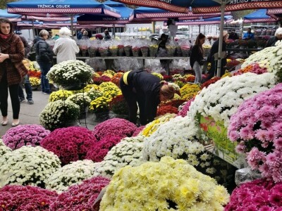 OPG Grabrović OPG Grabrović