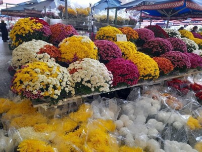 OPG Grabrović OPG Grabrović