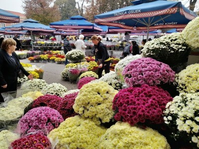 OPG Grabrović OPG Grabrović