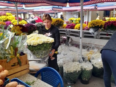 OPG Grabrović OPG Grabrović