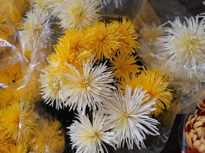 OPG Grabrović