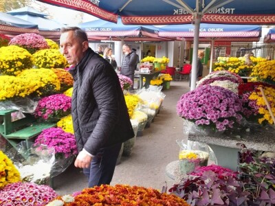 OPG Grabrović OPG Grabrović