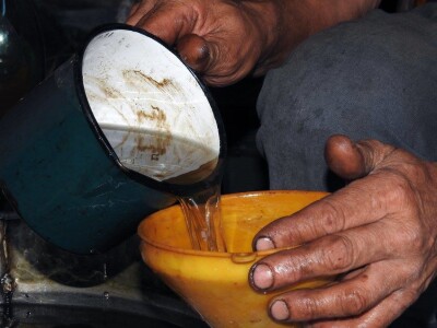 OPG Grgo Lučić OPG Grgo Lučić