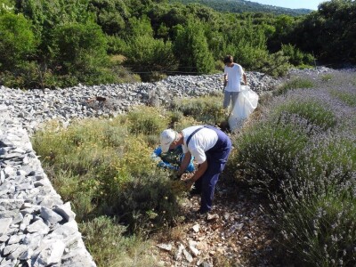 OPG Grgo Lučić OPG Grgo Lučić