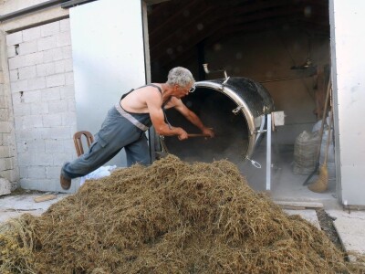 OPG Grgo Lučić OPG Grgo Lučić