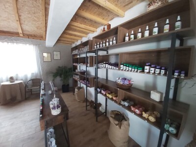 OPG GRGO LUČIĆ OPG GRGO LUČIĆ