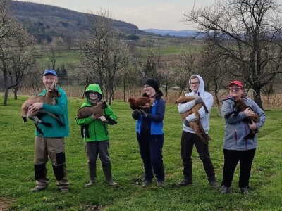 OPG HERCEG SIRANA JAGARKA